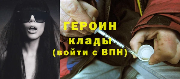 мдпв Ладушкин