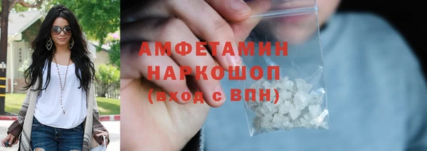 мдпв Ладушкин