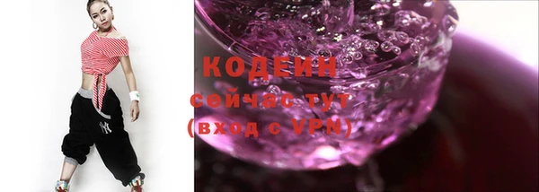 мдпв Ладушкин