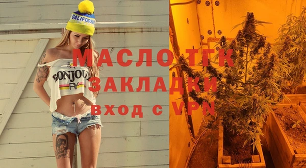 мдпв Ладушкин
